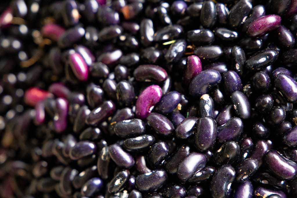 close up of costa rican black beans before cooking