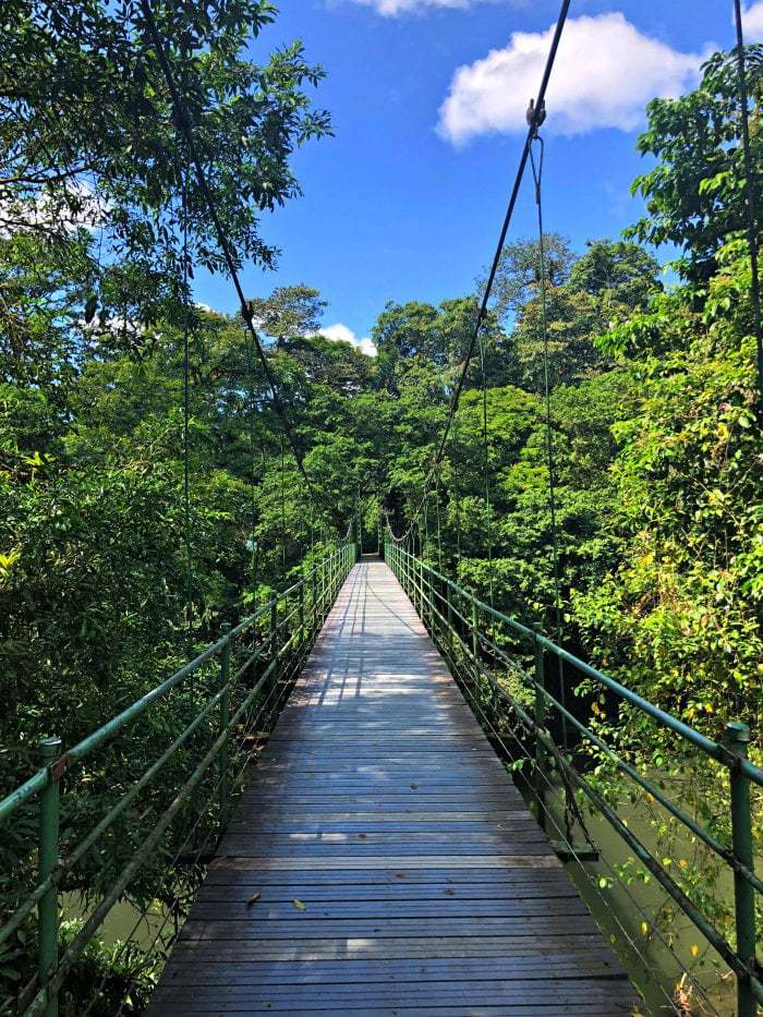 Suspension bridge spanning a river at La Selva Biological Station Costa Rica.