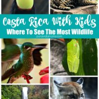 La Waz Gardens of Costa Rica flyer