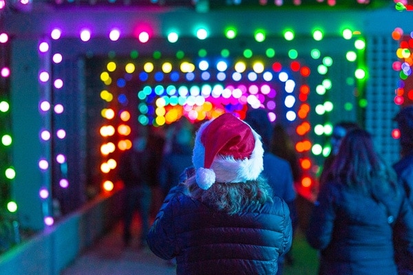 Visitors walking through a tunnel of multicolored lights.