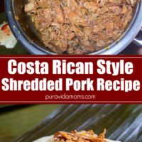 bowl of the shredded Costa Rican pork with other ingredients on the side.