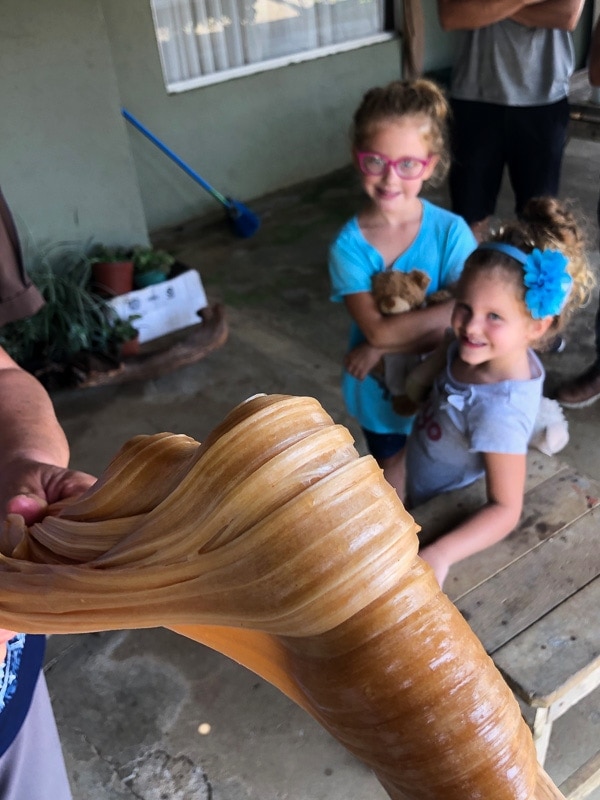 Two young children smile as they watch an artisan prepare traditional Costa Rican candy.