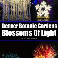 blossoms of light in the Denver Botanic Gardens.