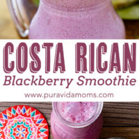 Costa Rican BlackBerry smoothie and a large glass pitcher.