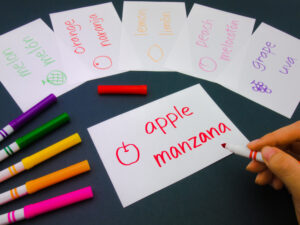 Series of flashcards with Spanish words and their translations written in colored marker.