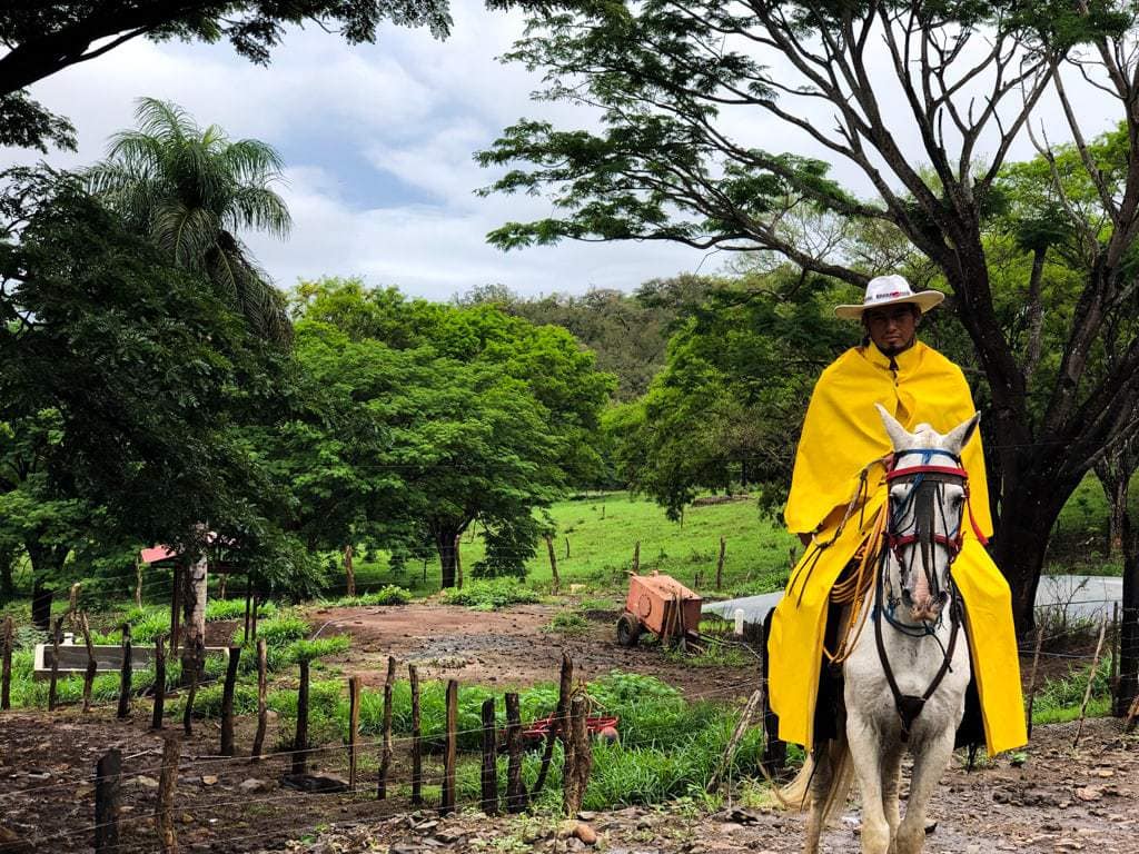 costa rican rancher on a horse in bright yellow rain gear