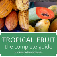 Tropical Fruit Guide Pin for pinterest
