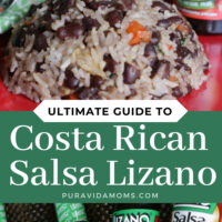 Salsa Lizano Guide Pin