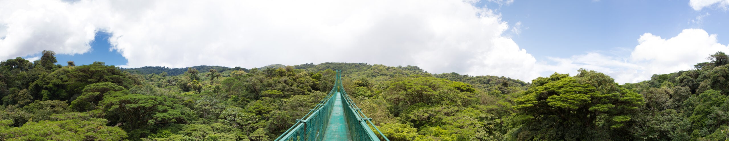 15 Best Hotels In Monteverde Costa Rica