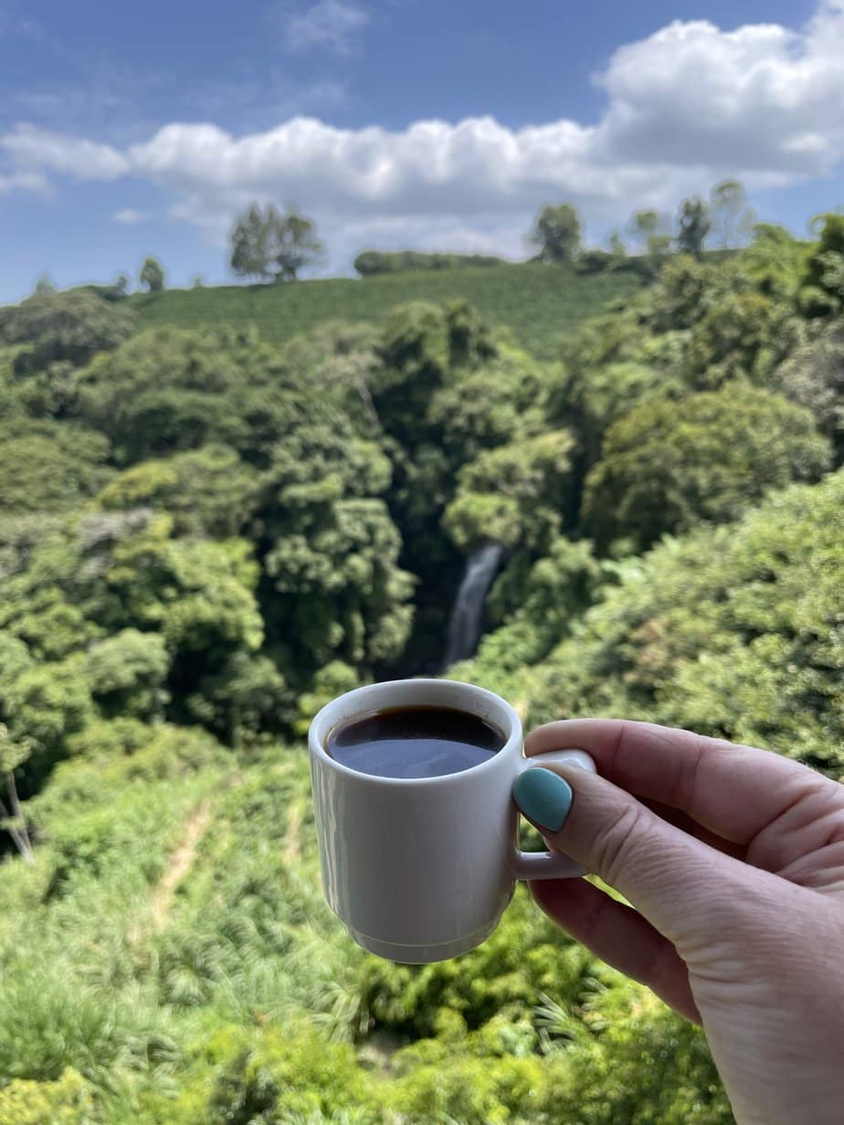 Best Coffee In Costa Rica